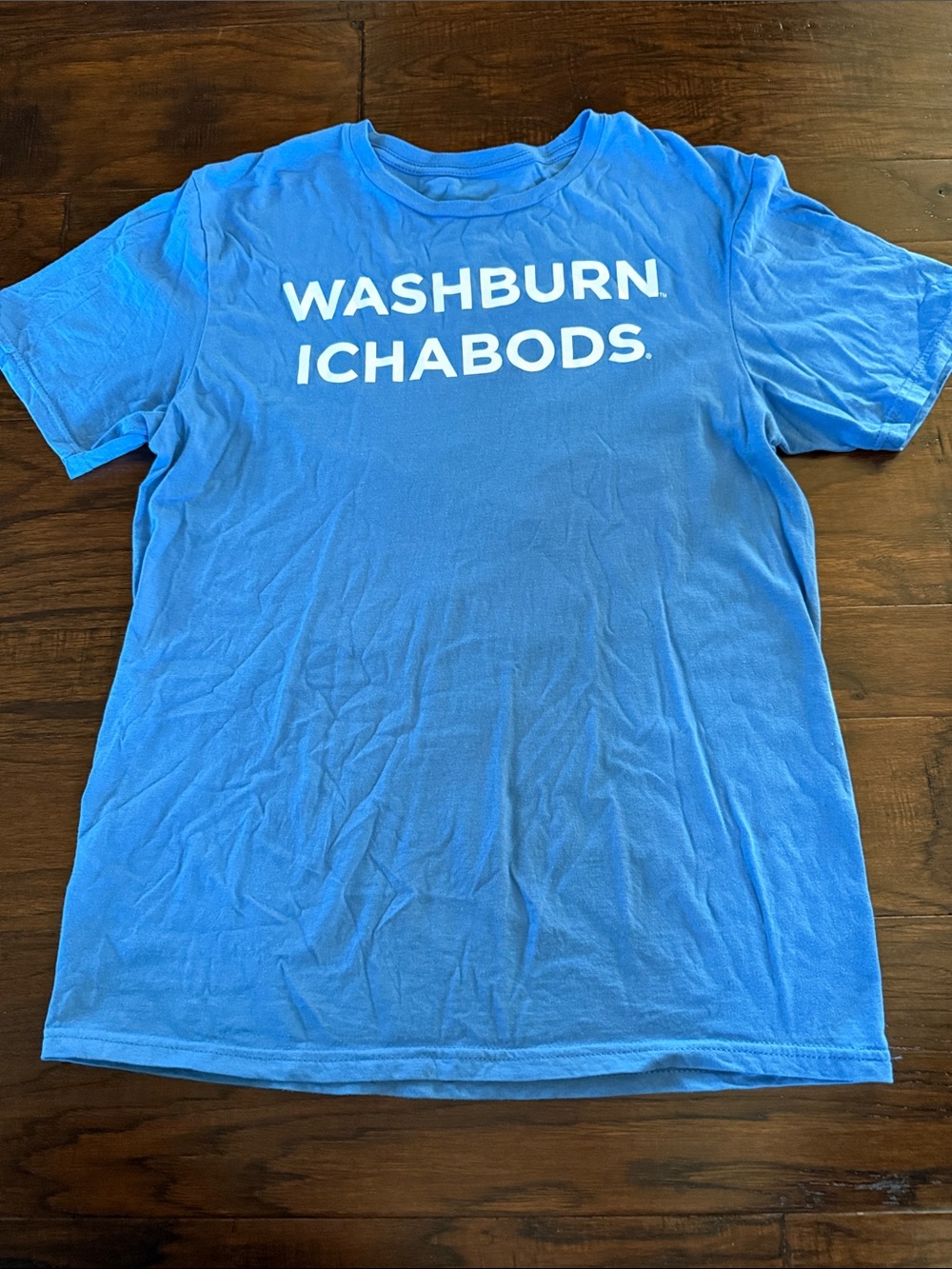 Men's Blue Logo T-Shirt